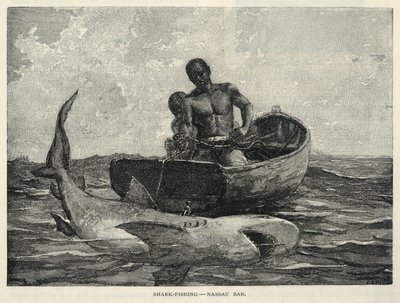 av Winslow Homer