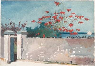 En mur, Nassau av Winslow Homer