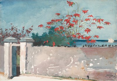 En mur, Nassau, 1898. av Winslow Homer