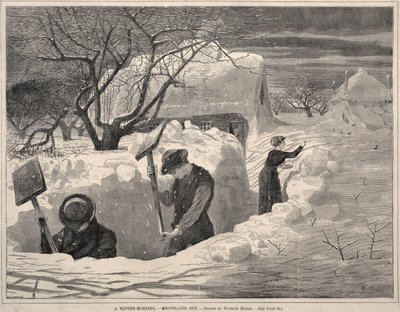  av Winslow Homer