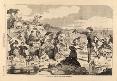  av Winslow Homer