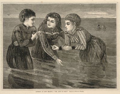  av Winslow Homer