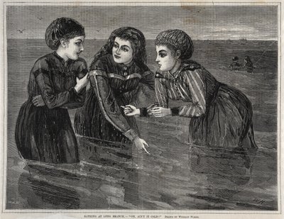  av Winslow Homer