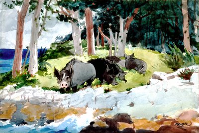 Bermuda-bosettere av Winslow Homer
