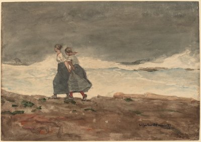 Fare av Winslow Homer