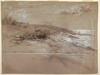  av Winslow Homer