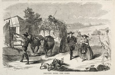 av Winslow Homer