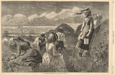 Gathering Berries, fra Harper av Winslow Homer