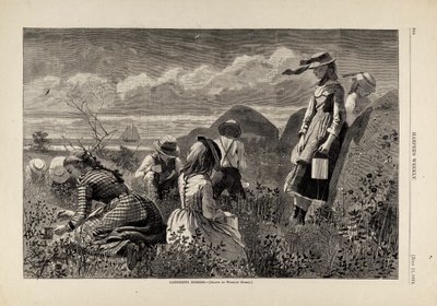  av Winslow Homer