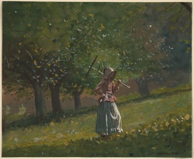  av Winslow Homer
