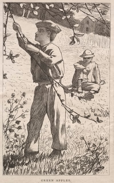  av Winslow Homer