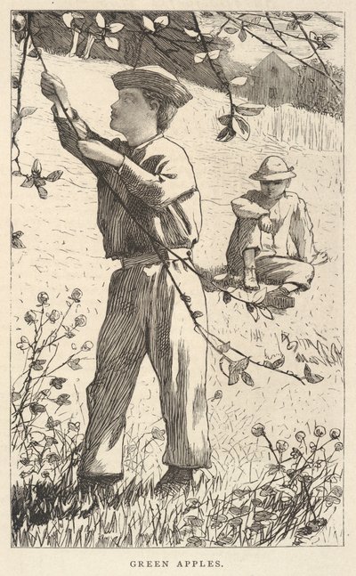  av Winslow Homer