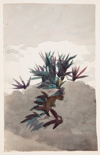 Hillside with Clumps of Maguey   1258169   no       norwegian Successfully Translated  Original: Gezicht op een oosterse stad in een dal Translat: Gezicht op een oosterse stad in een dal 1379608 no norwegian Successfully Translated Original: Castle on a Hi av Winslow Homer