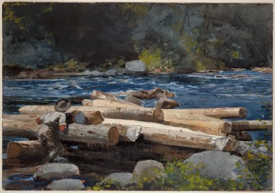 Hudsonelven av Winslow Homer