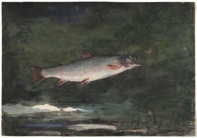 Sprangende ørret, 1889. av Winslow Homer