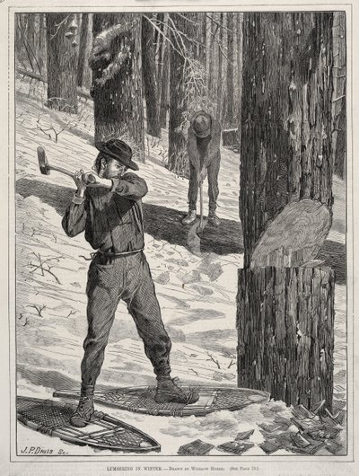  av Winslow Homer