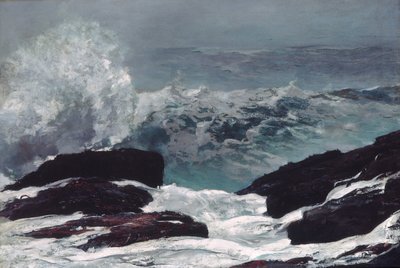 Maine Coast av Winslow Homer