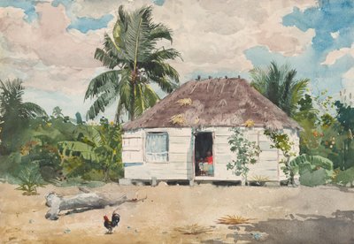 Innfødt hytte i Nassau, 1885. av Winslow Homer