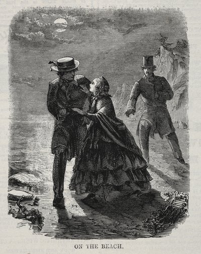  av Winslow Homer