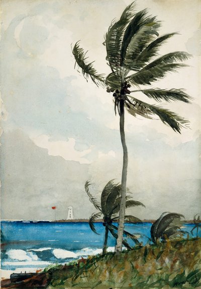 Palmetre, Nassau, 1898. av Winslow Homer