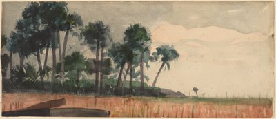 Palmer, røde av Winslow Homer