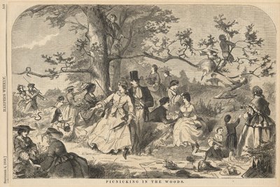 Picknicking in the Woods, fra Harper av Winslow Homer