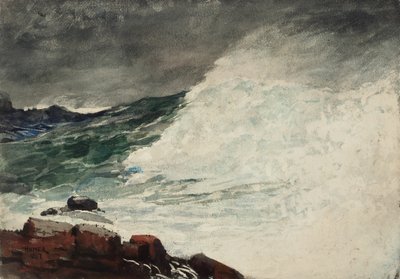  av Winslow Homer