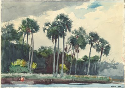 Rød skjorte, Homosassa, Florida av Winslow Homer