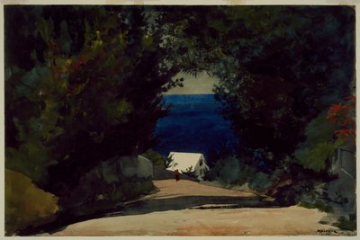  av Winslow Homer