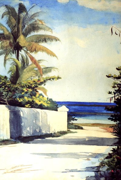 Vei i Nassau, 1898-99 av Winslow Homer