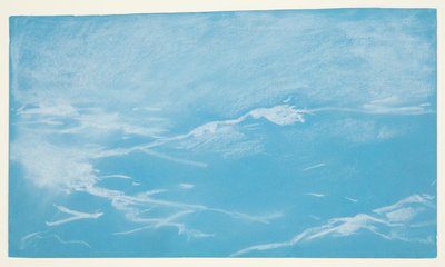 Måke og bølger av Winslow Homer