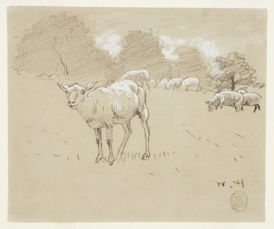 Sauer som beiter på en åker av Winslow Homer