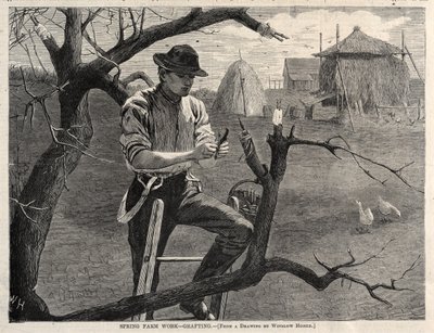  av Winslow Homer