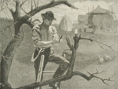  av Winslow Homer