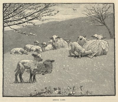  av Winslow Homer