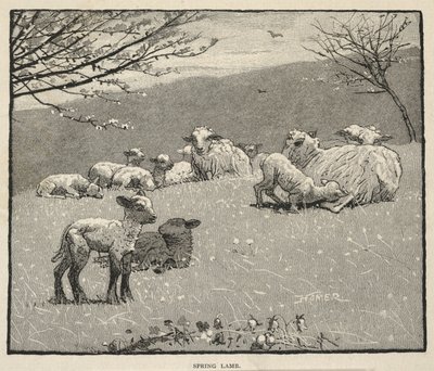  av Winslow Homer
