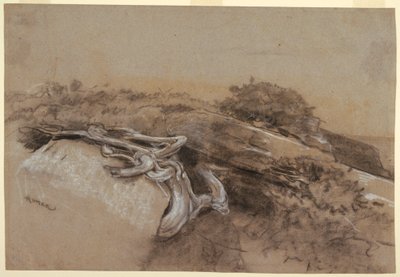 Studie av trerøtter, Prout