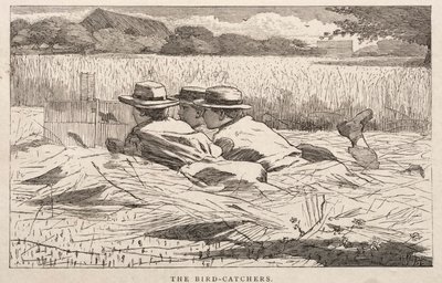  av Winslow Homer