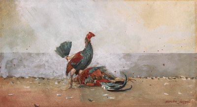 Hanekampen av Winslow Homer
