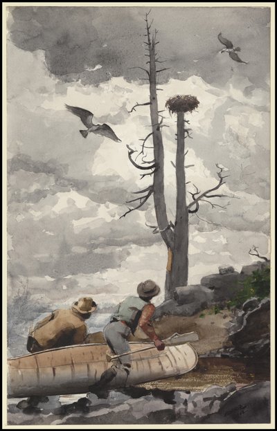 Ørneredet, 1902 av Winslow Homer