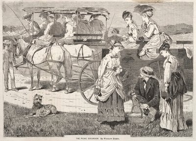  av Winslow Homer