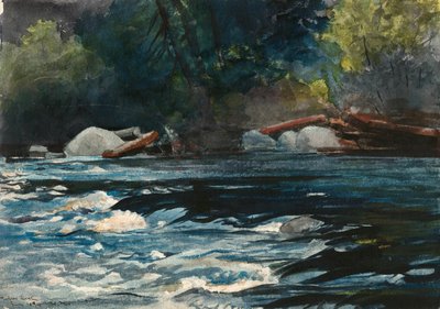 Rapids, Hudsonelven, Adirondacks av Winslow Homer