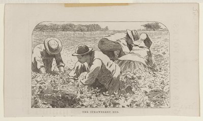 Jordbærbedet av Winslow Homer