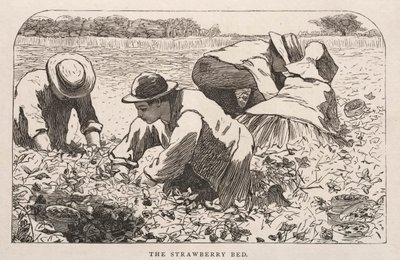 Jordbærsengen, 1868. av Winslow Homer