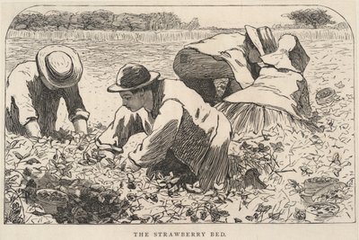 Jordbærbedet, fra Våre unge folk, juli 1868 av Winslow Homer