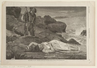  av Winslow Homer