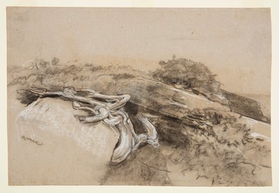 Trerøtter, Prouts hals av Winslow Homer