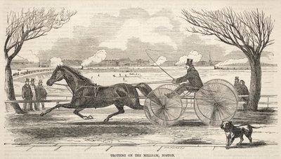Trav på Mill Dam, Boston, 1859. av Winslow Homer