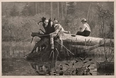  av Winslow Homer