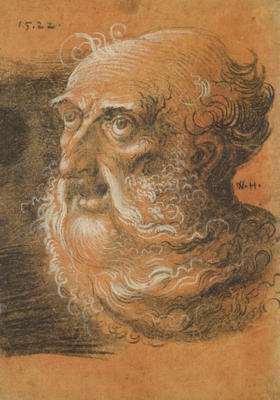 Head Study, 1522 (kull og hvitt kritt på papir) av Wolf Huber